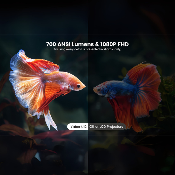 Comparison ANSI Lumens and LCD Projectors.